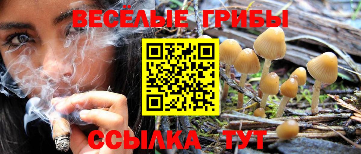 Брянск  Галлюциногенные грибы ЛСД  Галлюциногенные грибы GOLDEN TEACHER  Вход с VPN 